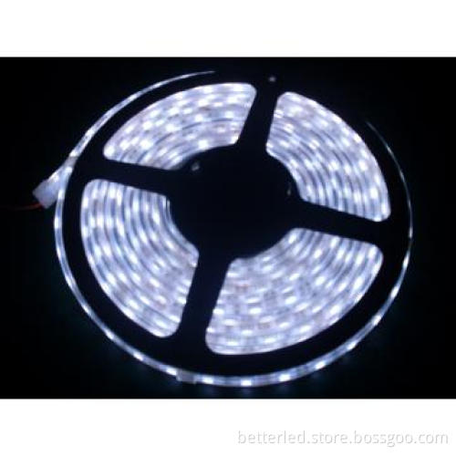 Waterproof 3528SMD white color flexible led strip with 30leds per mete
